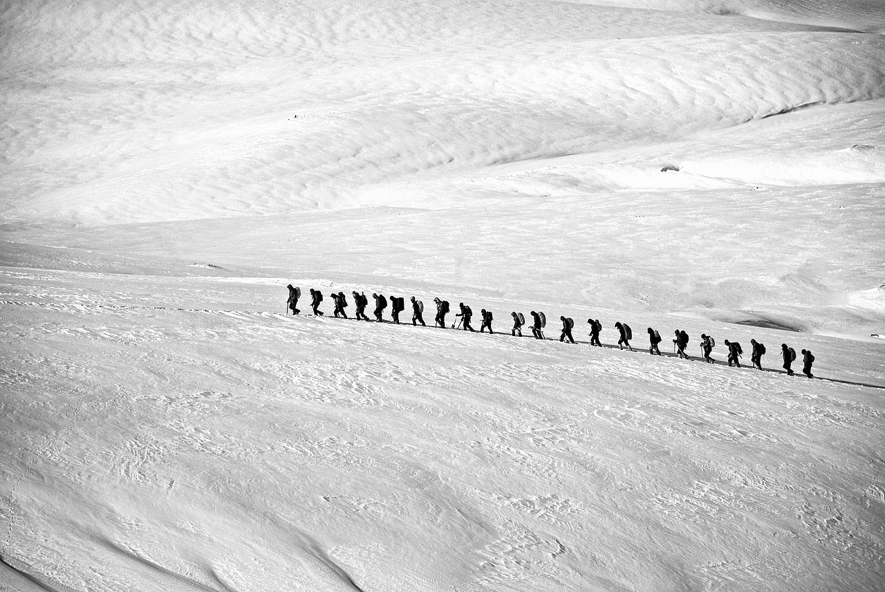 seguire il leader